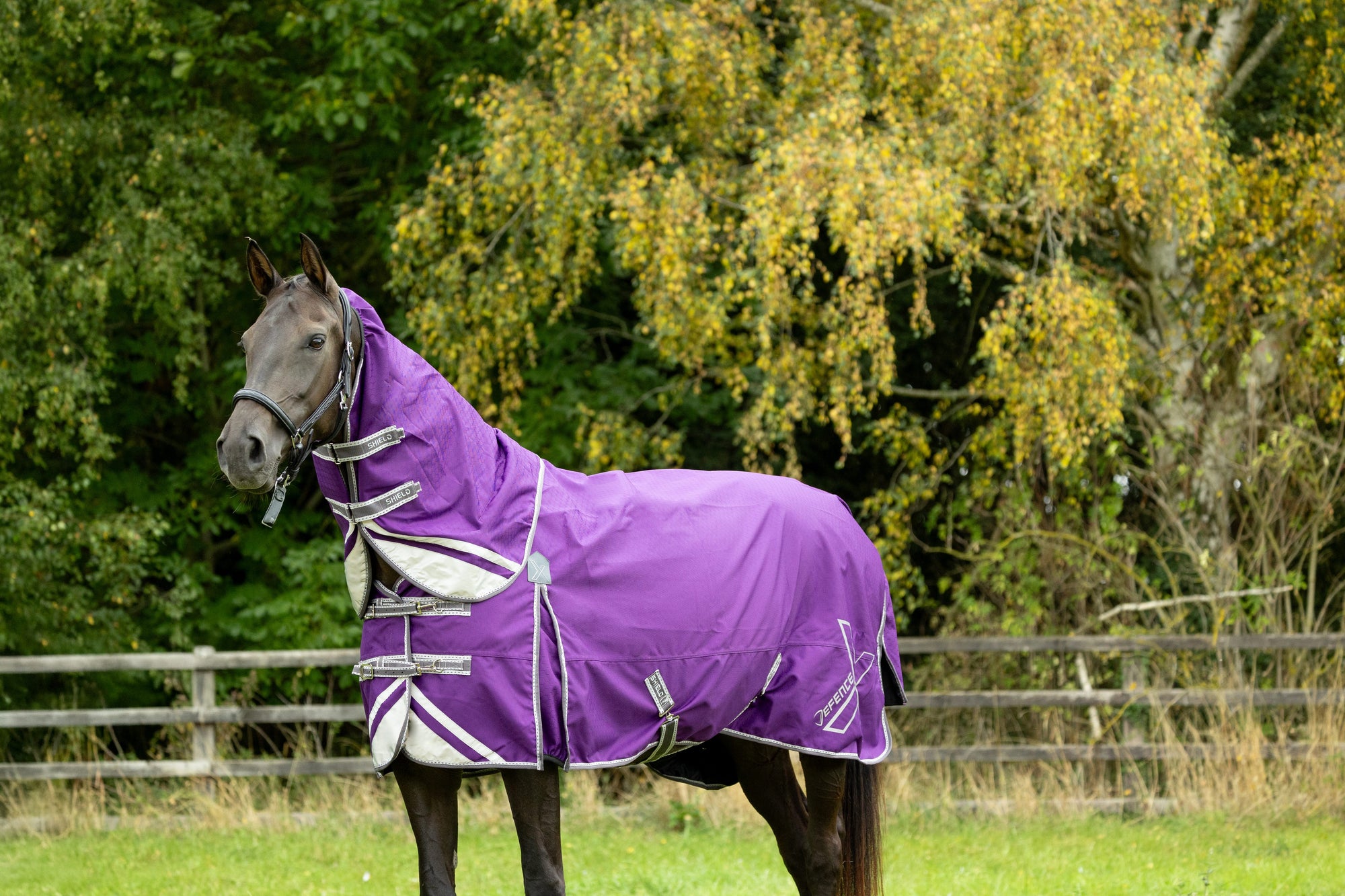 DefenceX Shield 100g Turnout Rug with Detachable Neck