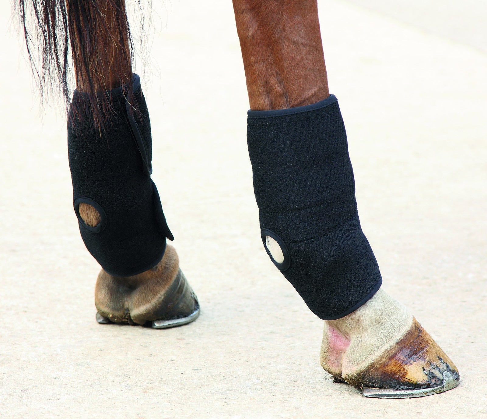 ARMA Hot/Cold Joint Relief Boots - Nags Essentials