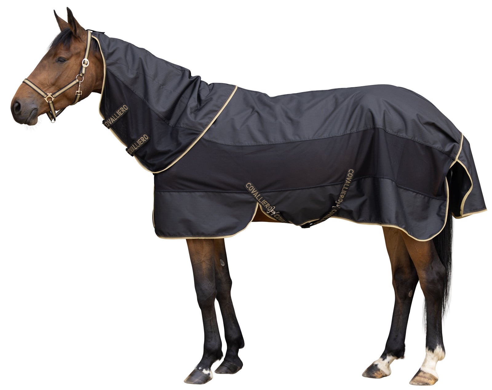 Covalliero Rain Fly Rug SS26