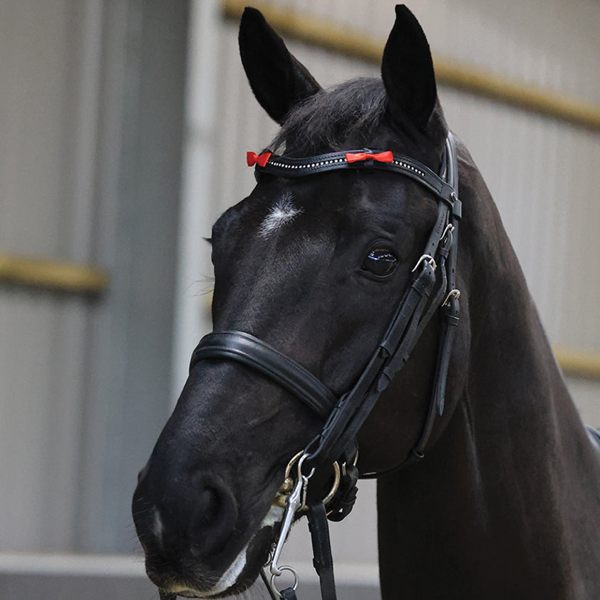 Horse Competition Warning Bridle Ribbon