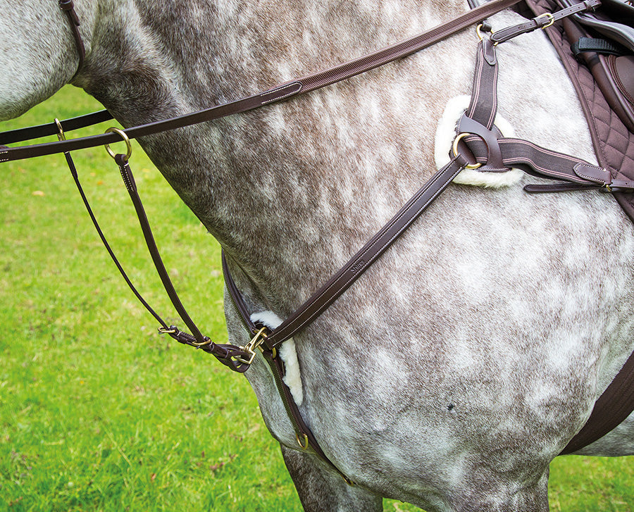 Salisbury Five Point Breastplate - Nags Essentials