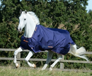 Bucas Therapy Turnout Light