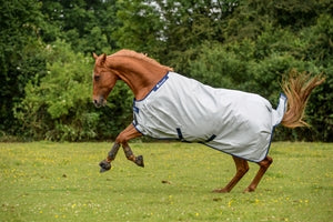 Bucas Power Turnout Light Big Neck