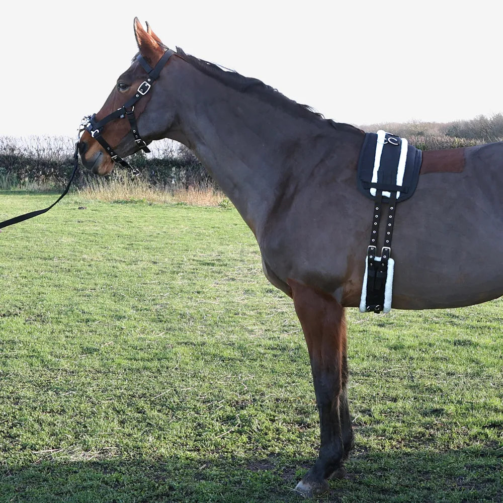 Hy Equestrian Lunge Roller