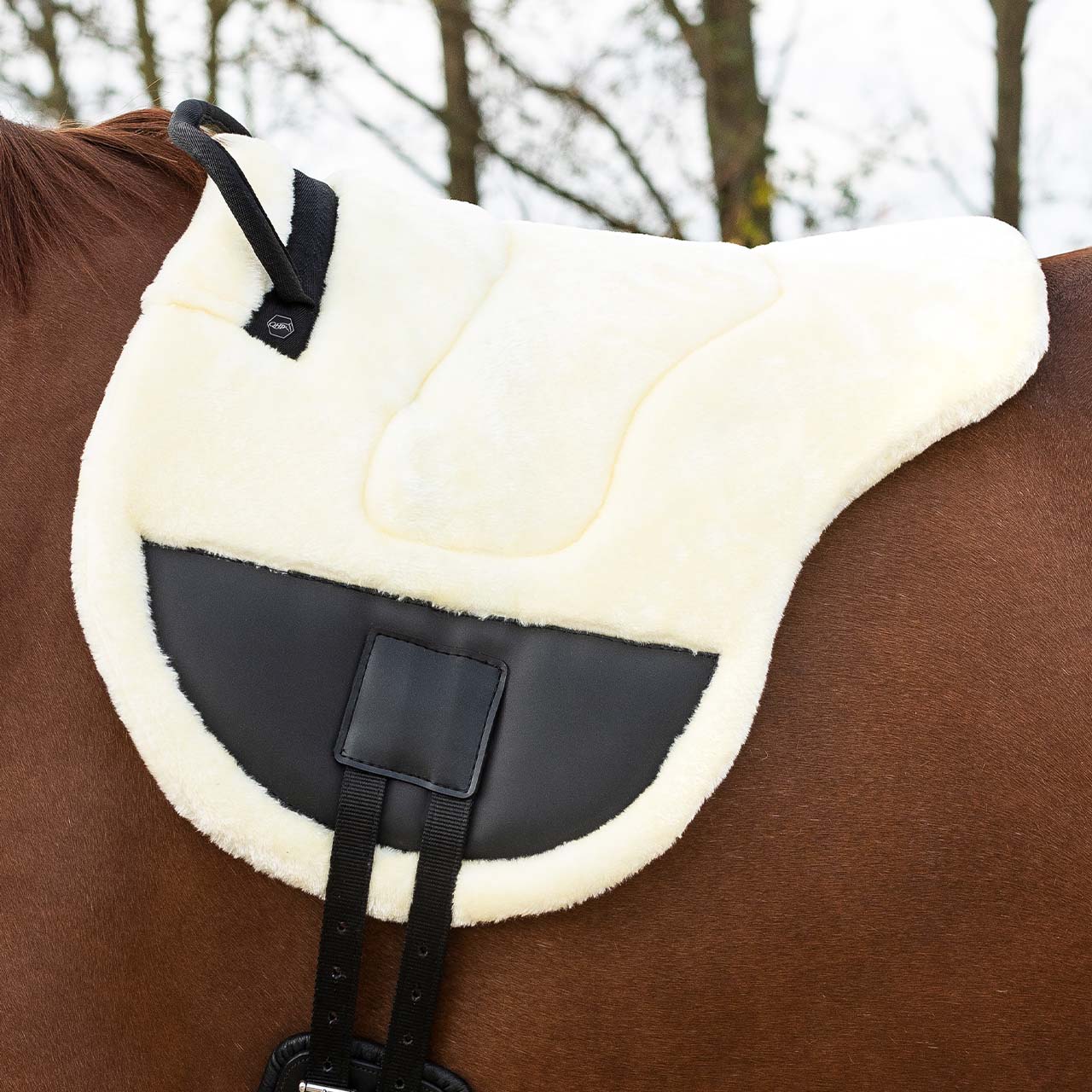 Ontario Bareback Pad