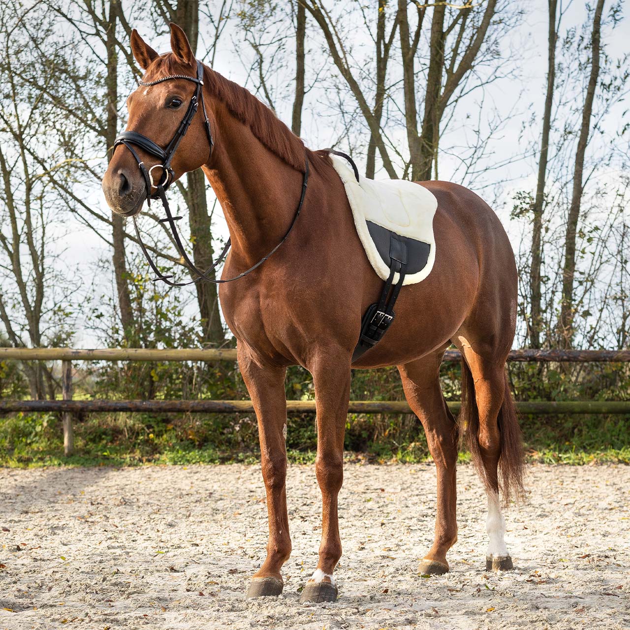 Ontario Bareback Pad