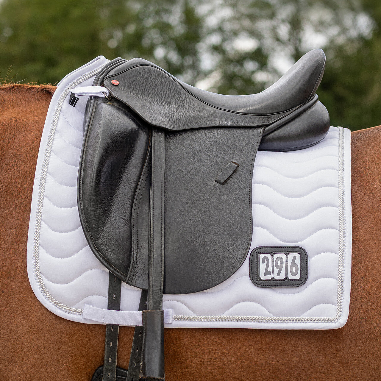 Number Saddlepad