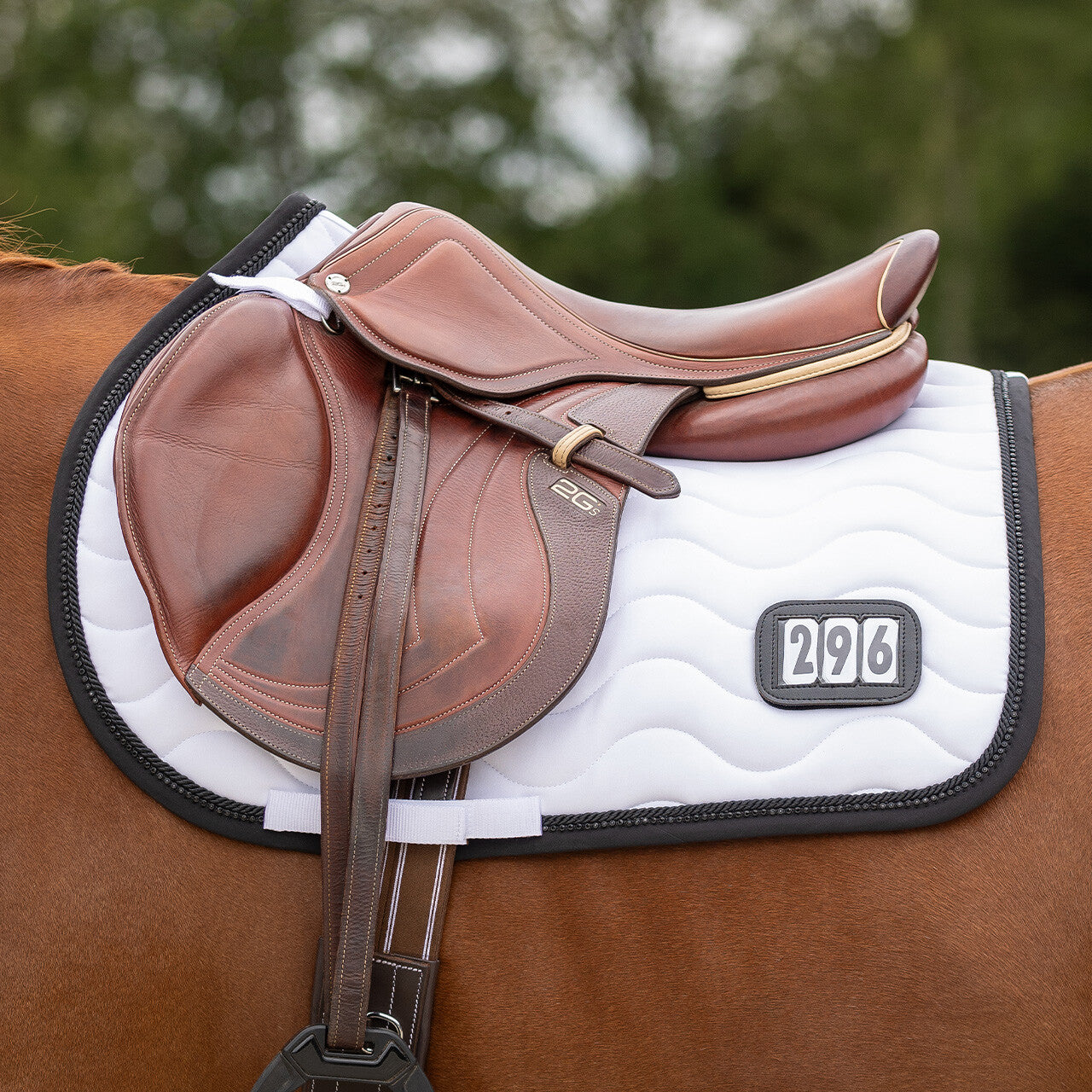 Number Saddlepad