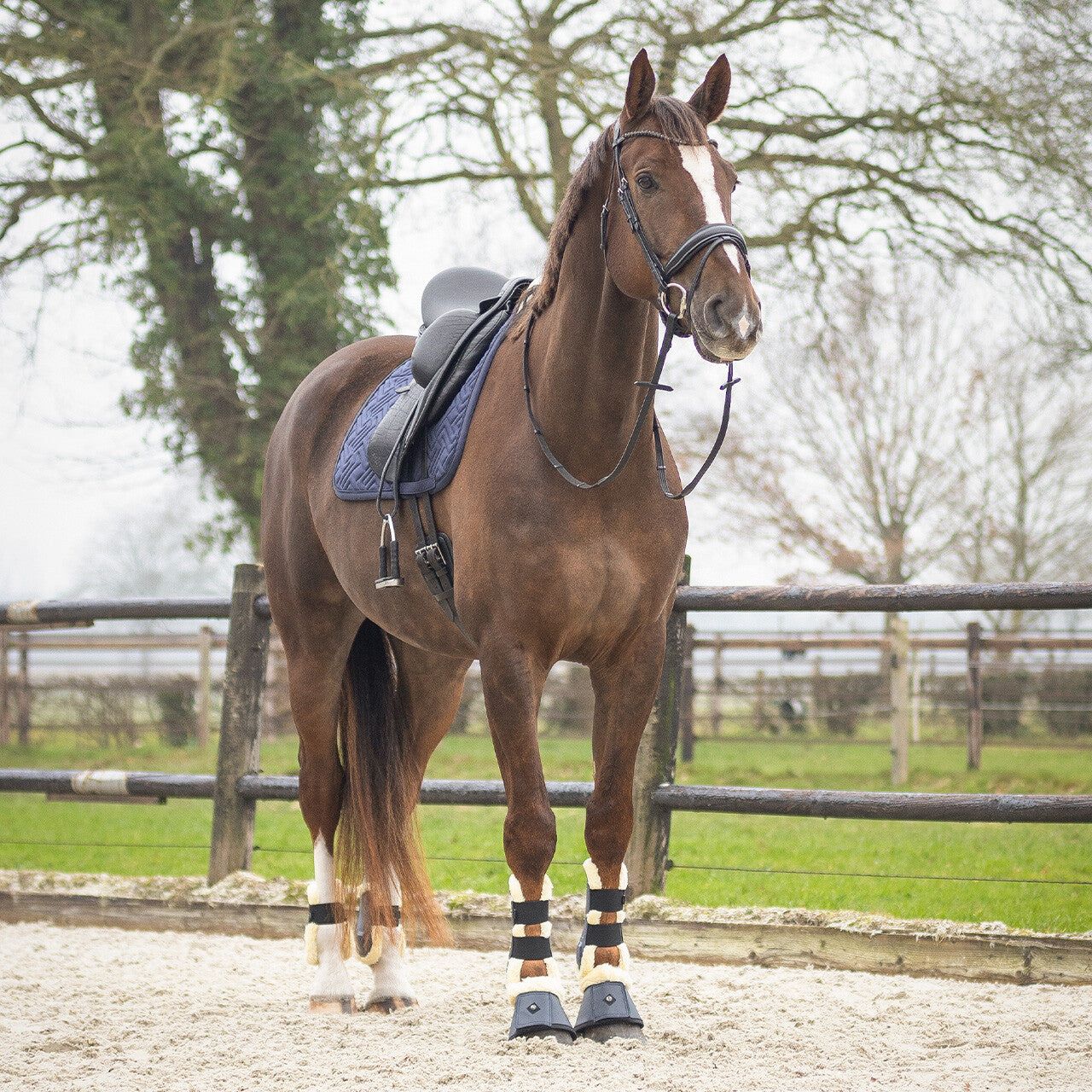 SensiSoft Saddlepad