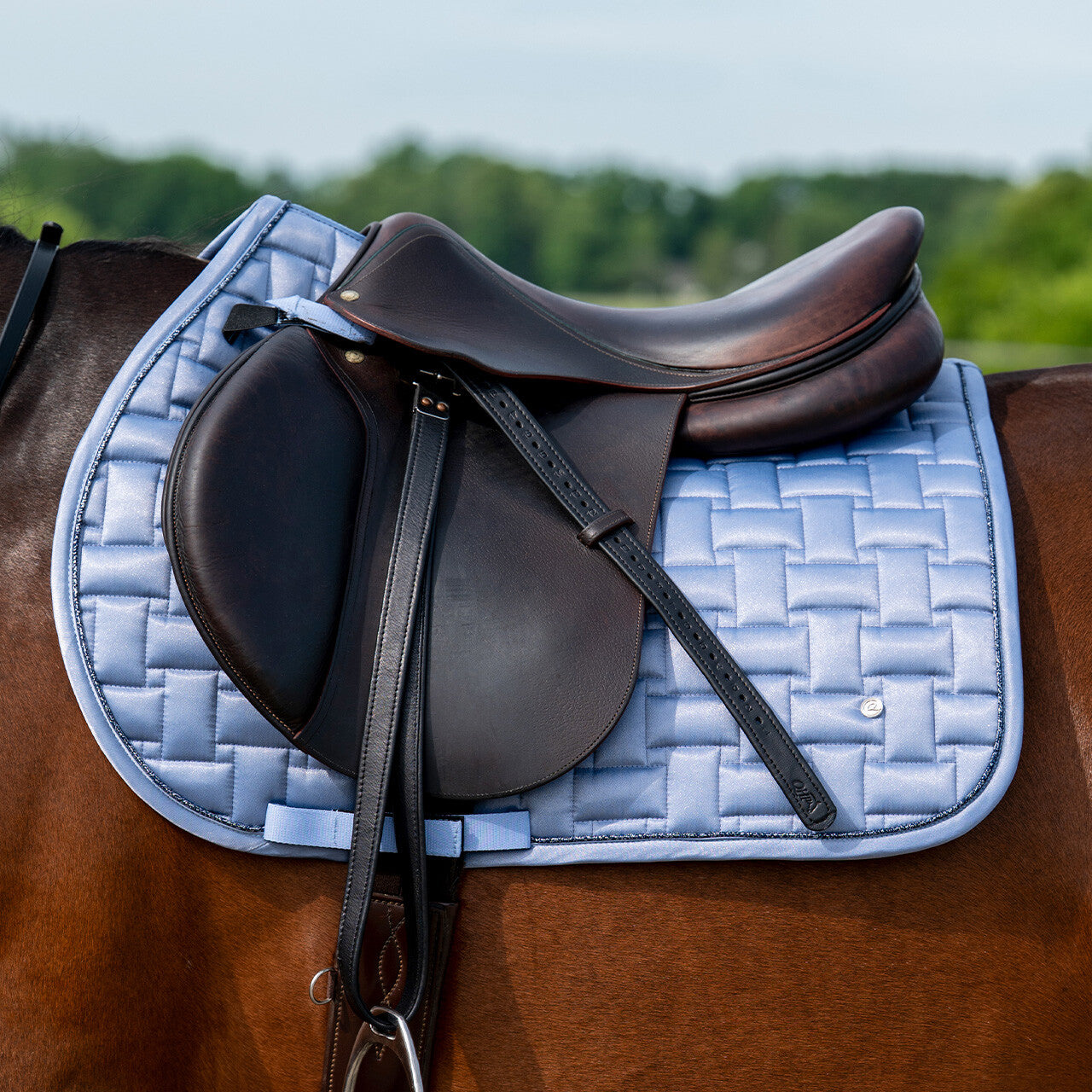 Aubree Saddlepad