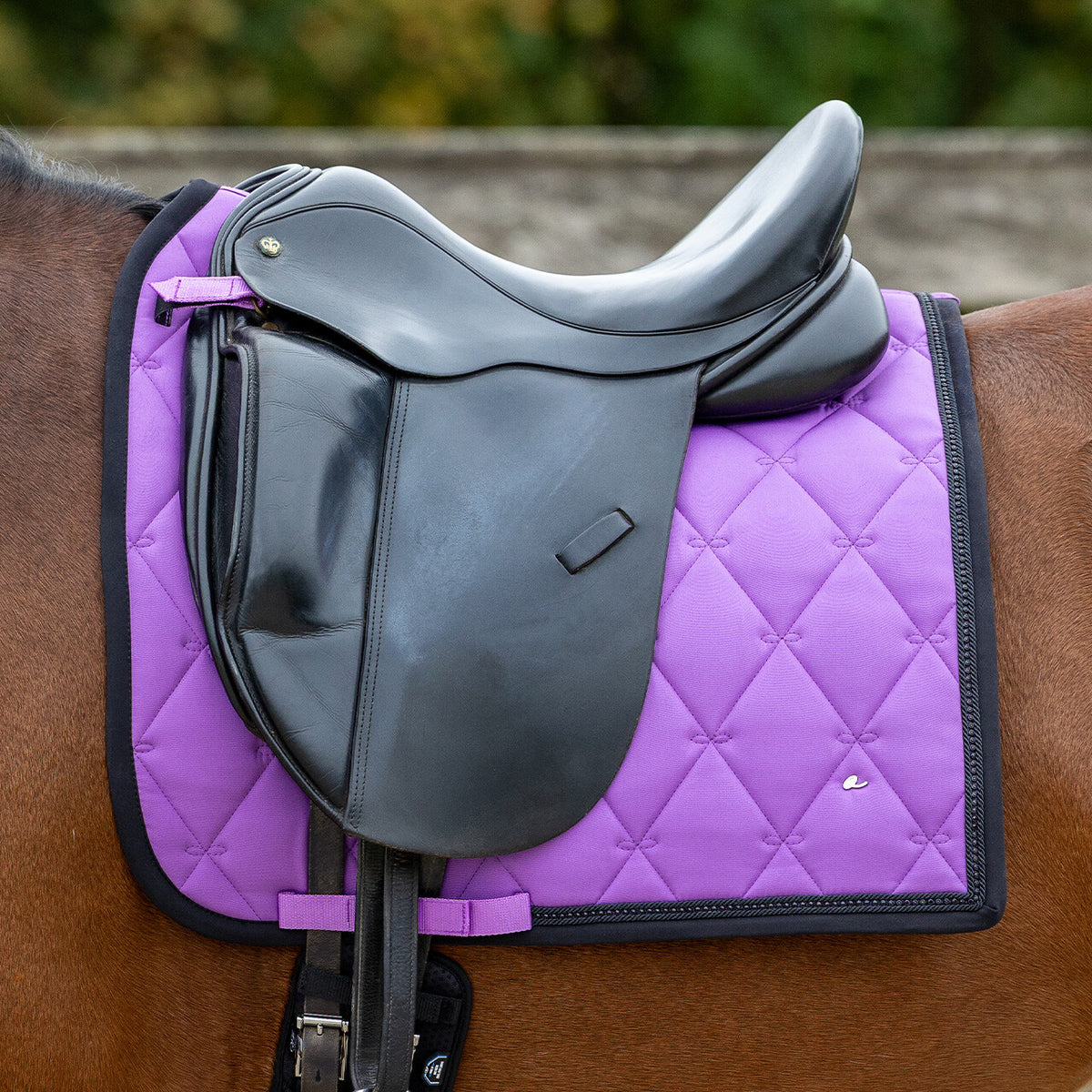 Livora Saddle Pad