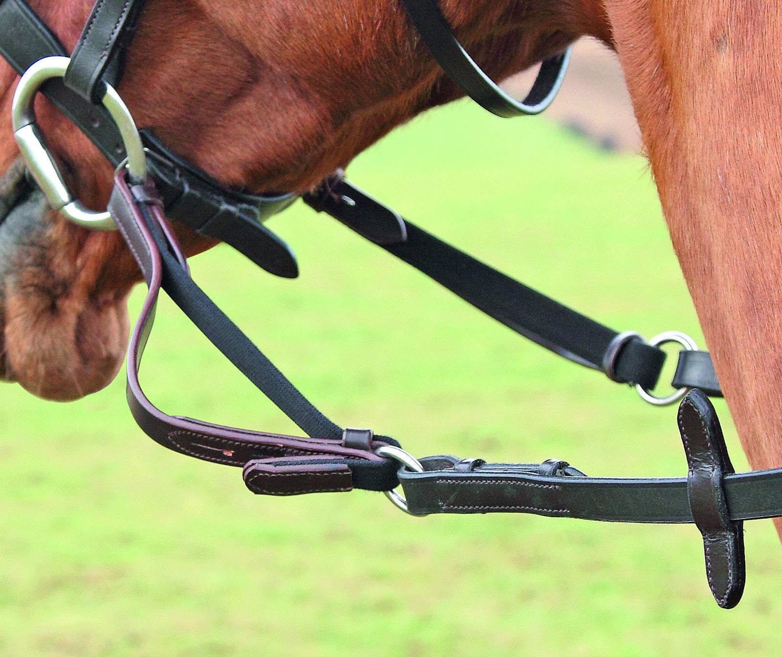 Shires Flexi-Rein® - Nags Essentials