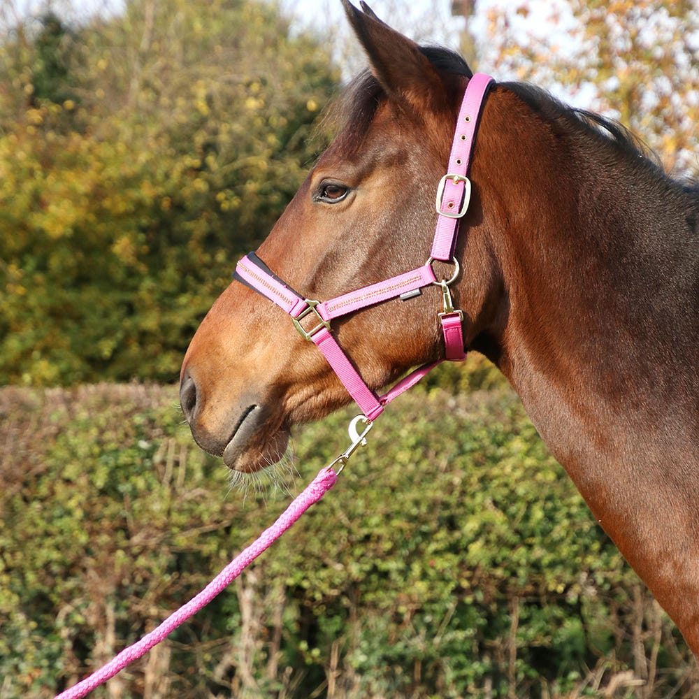 Hy Equestrian Sparkling Head Collar & Lead Rope Set