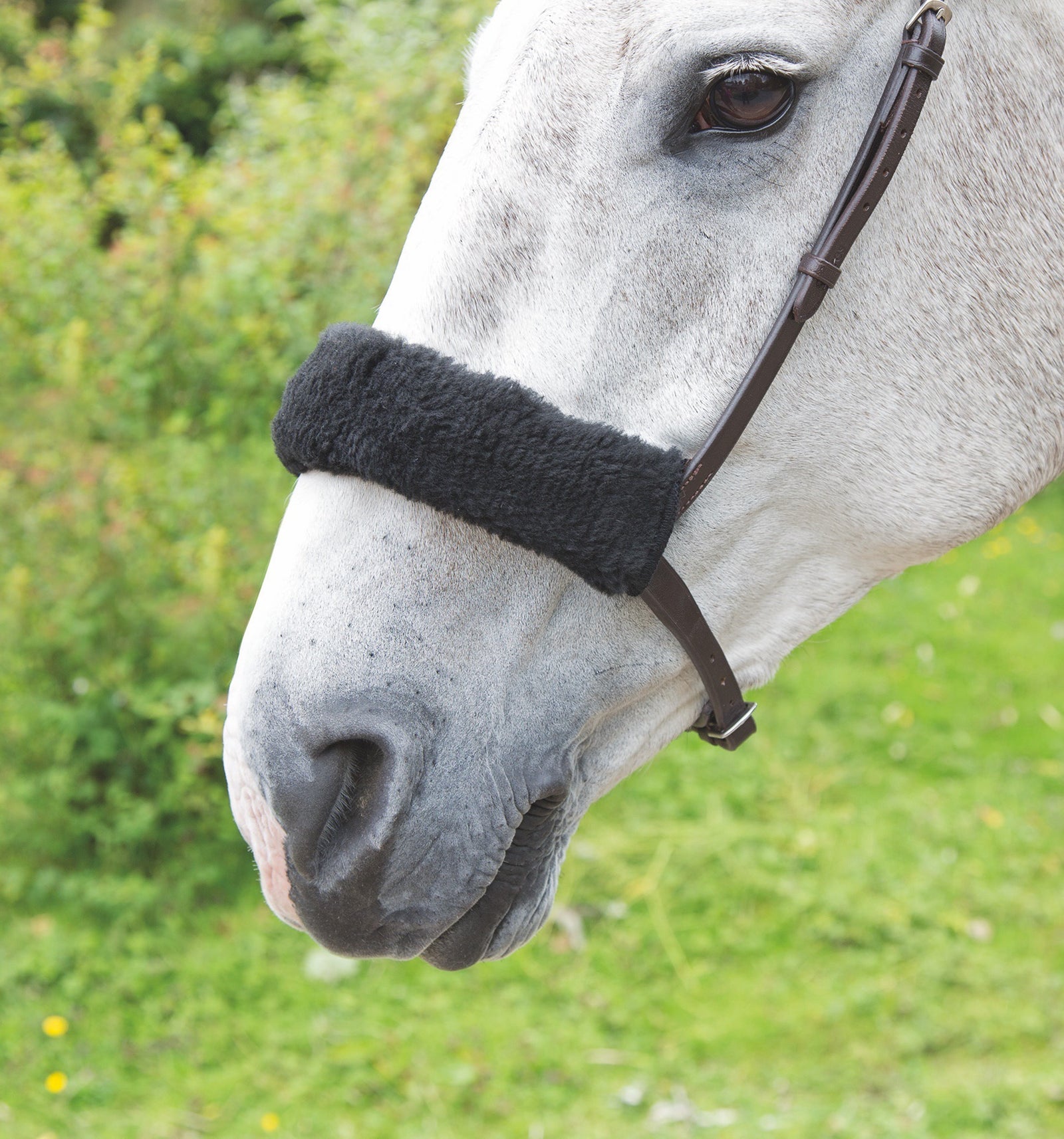 Acrilan Noseband Sleeve - Nags Essentials