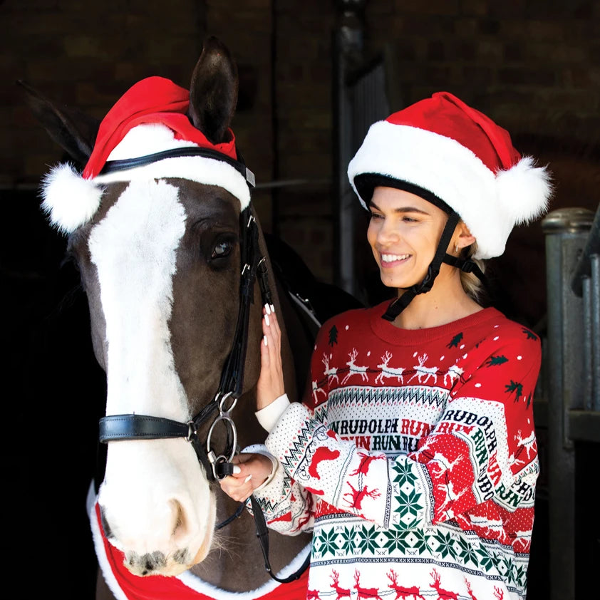 Santa Hat Horse Bonnet