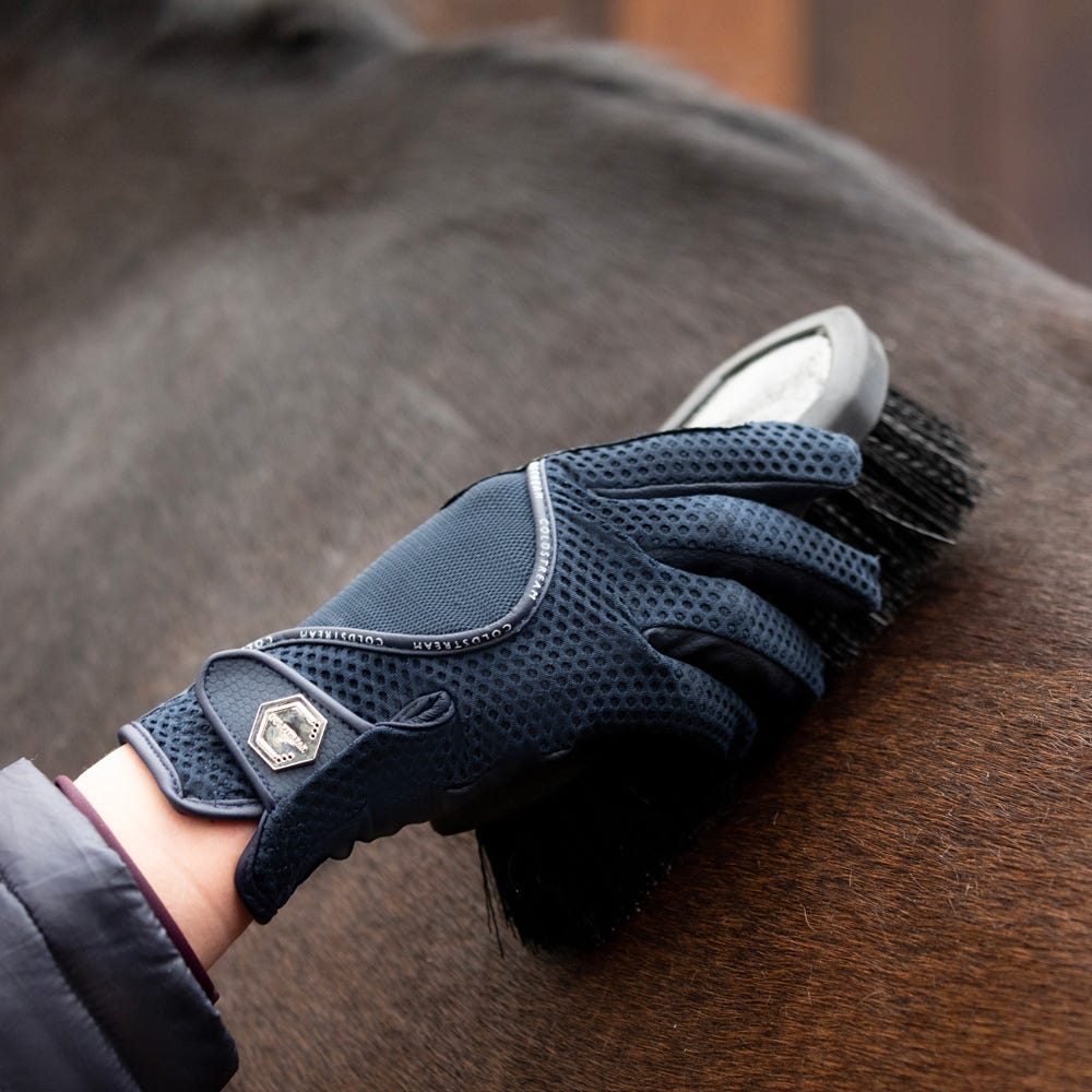 Coldstream Shine Dandy Brush