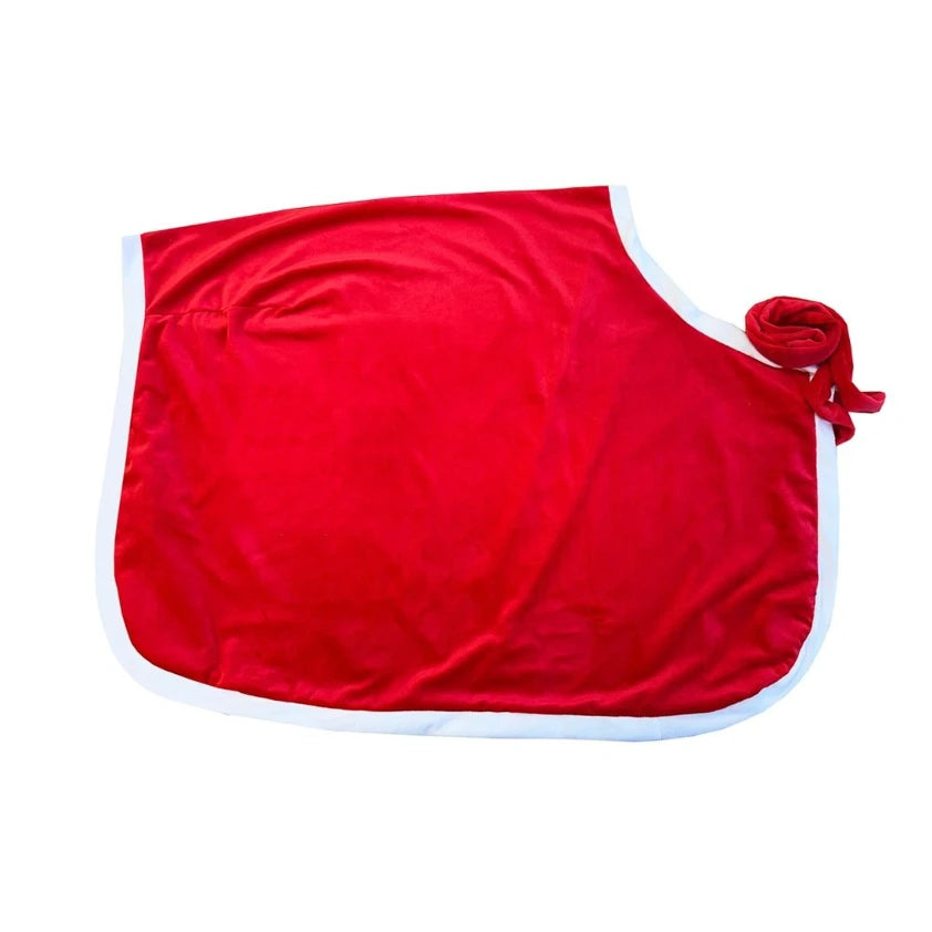 Santa Festive Horse Quarter Sheet