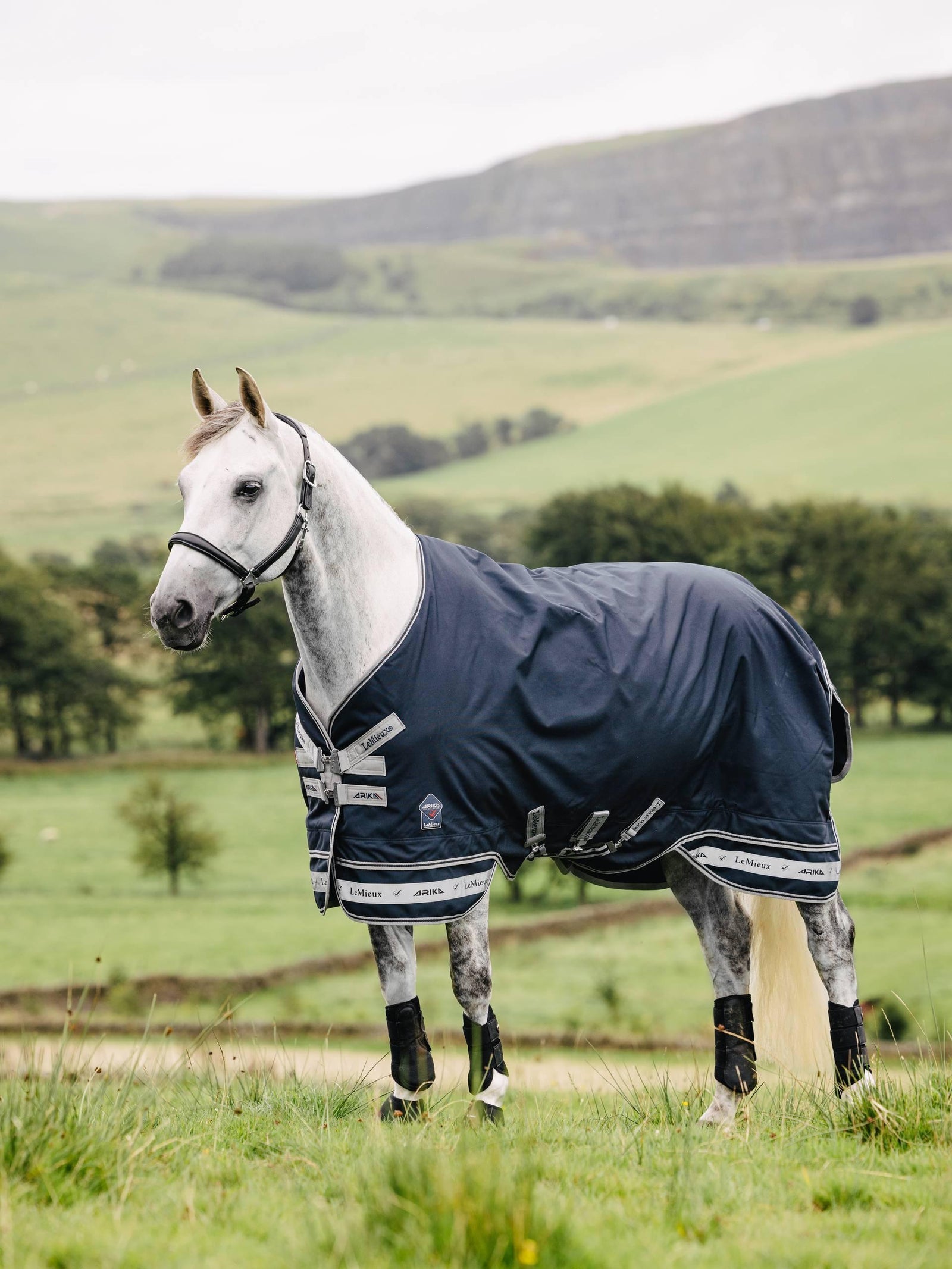 LeMieux Arika Storm-Tek Rug 50g - Navy