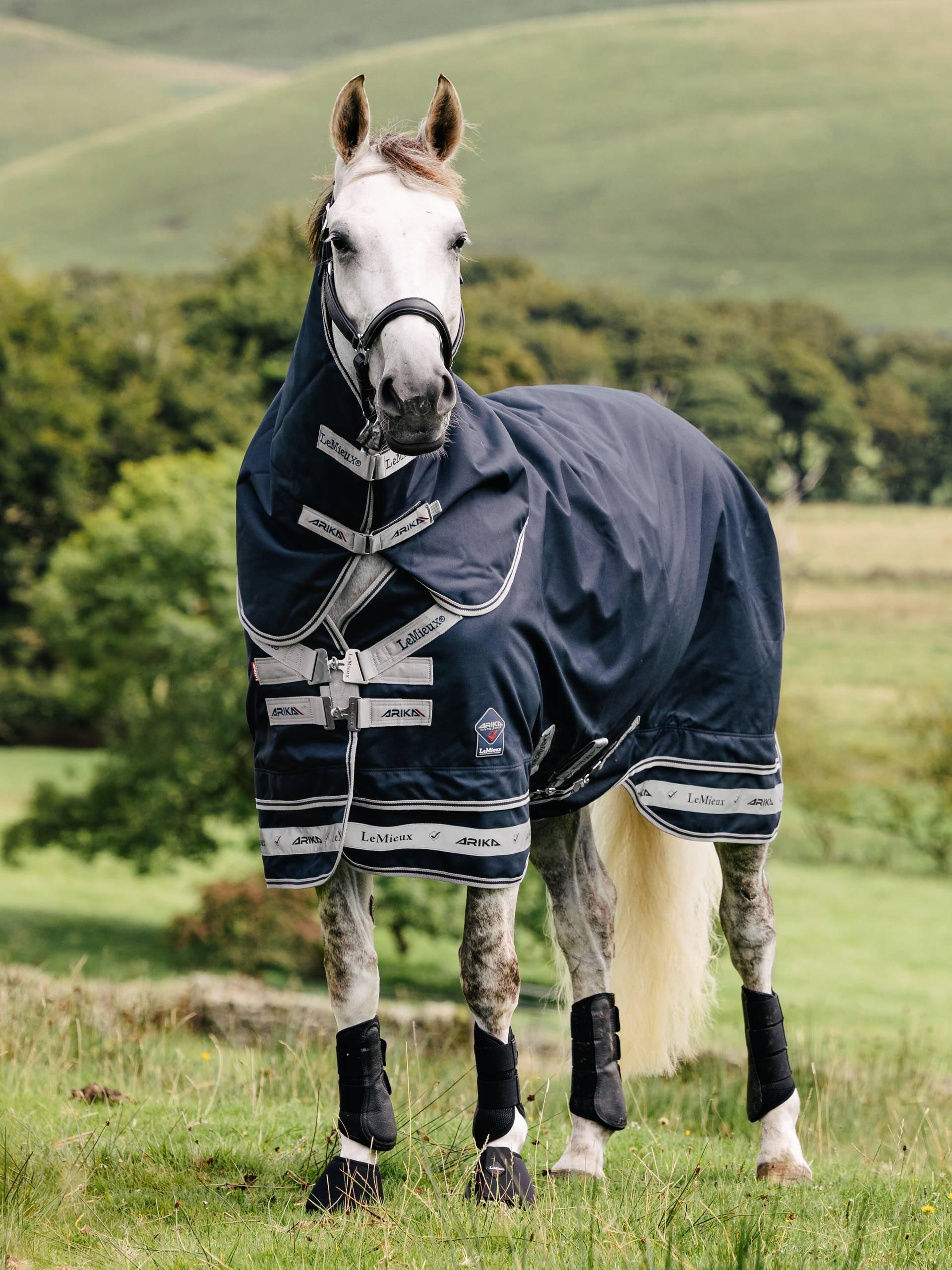 LeMieux Arika Storm-Tek Rug 50g - Navy