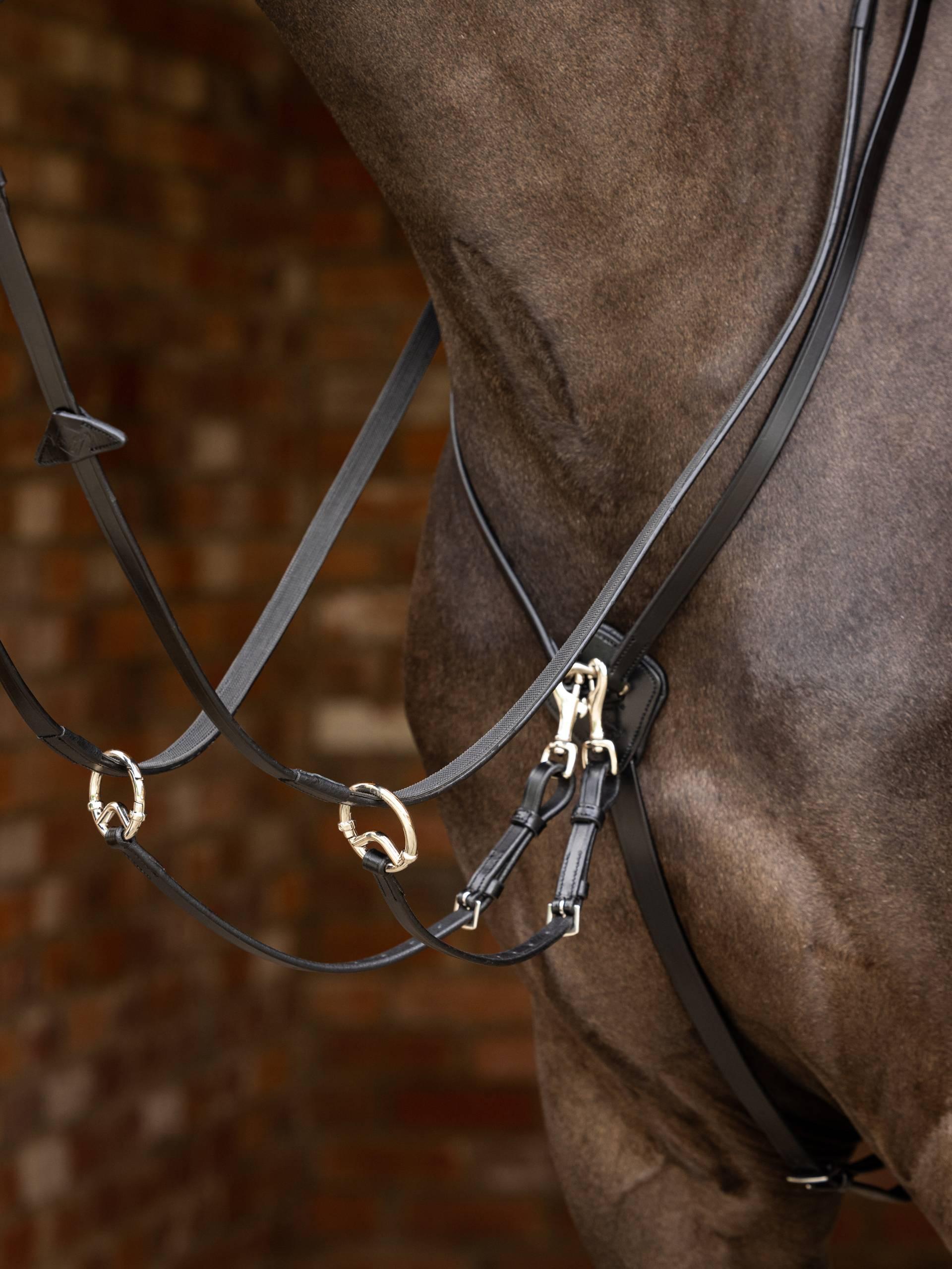 Lemieux Kudos Running Martingale