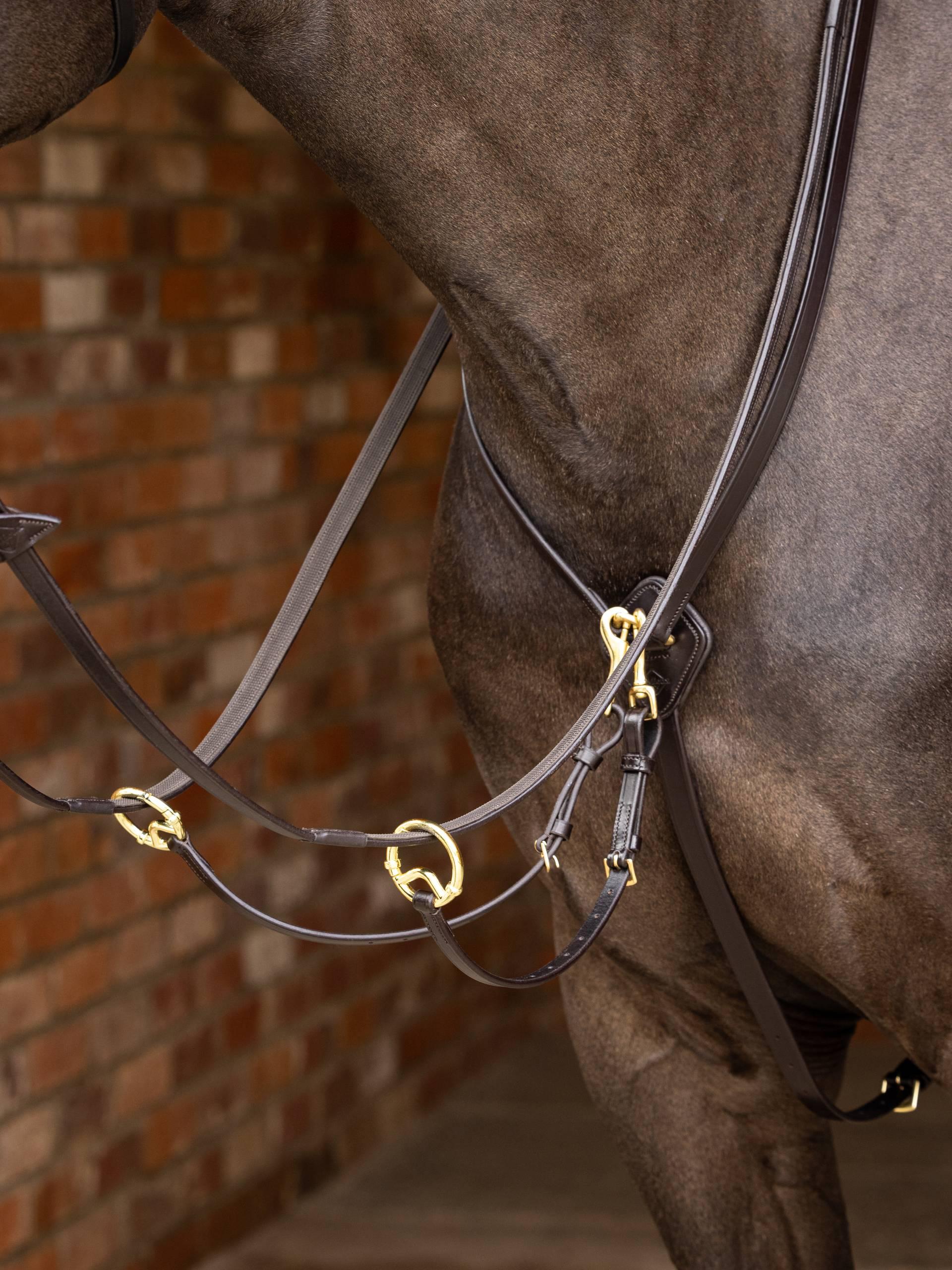 Lemieux Kudos Running Martingale
