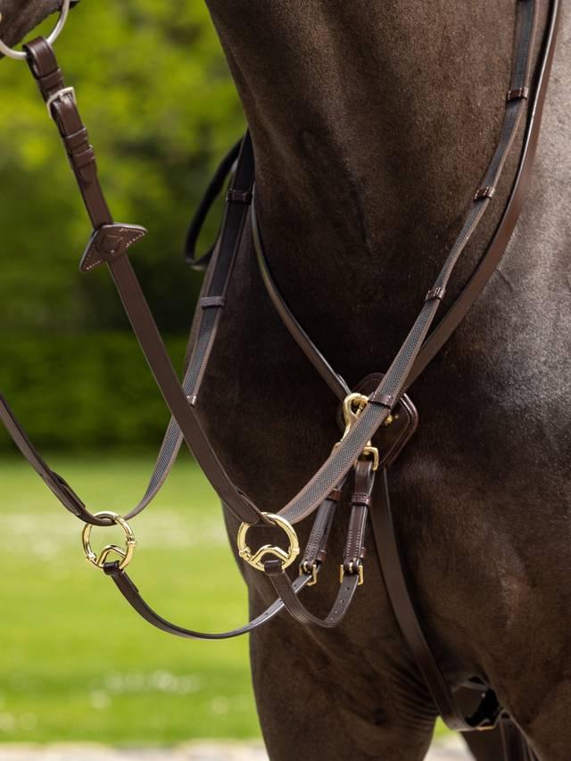Lemieux Kudos Running Martingale
