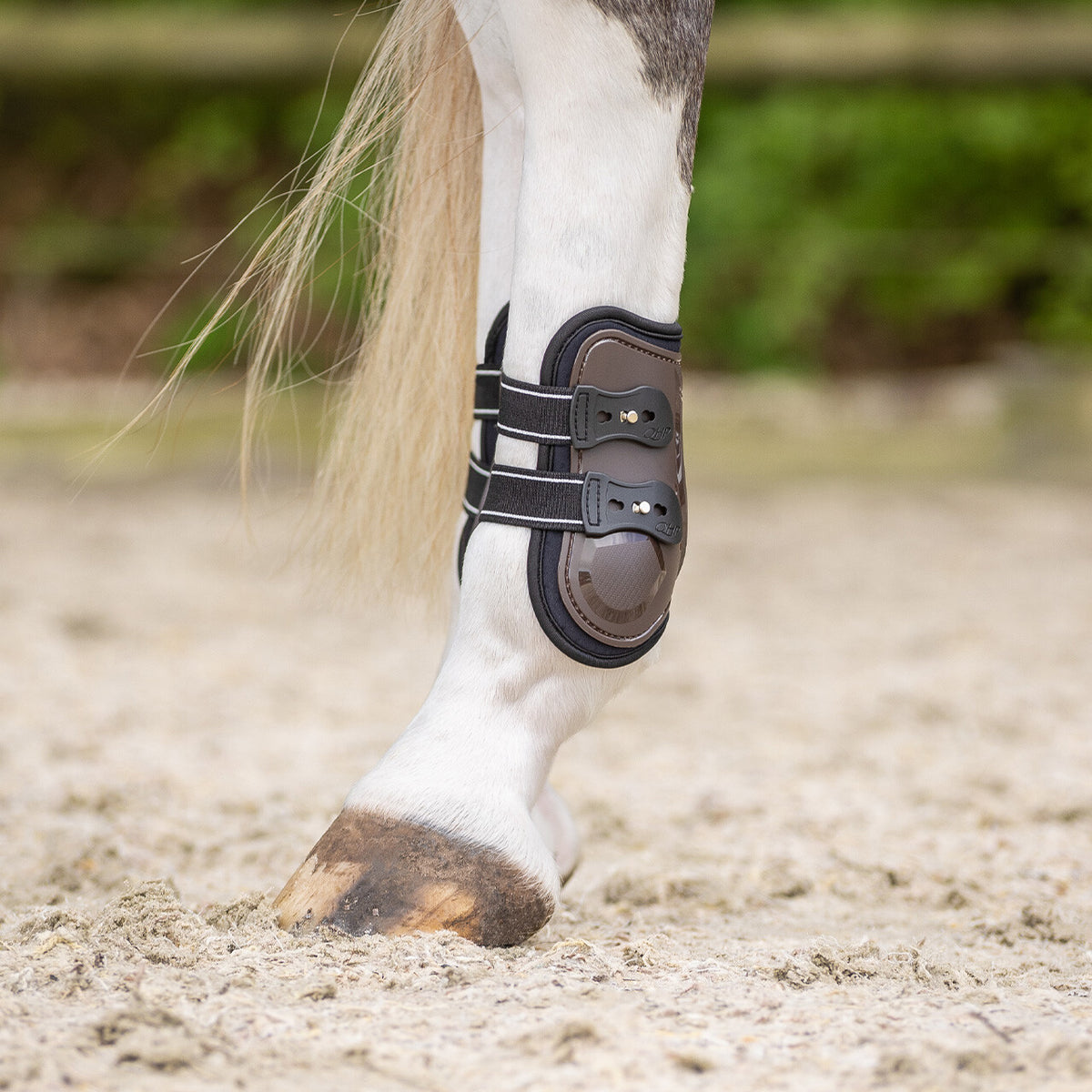 QHP Champion Fetlock Boots