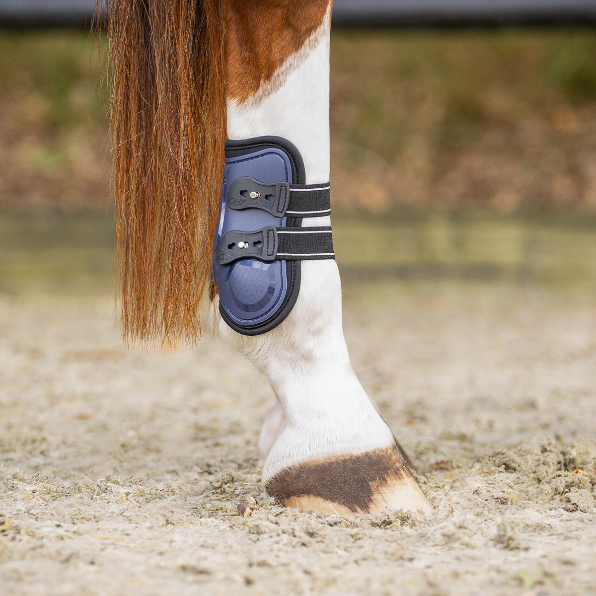 QHP Champion Fetlock Boots