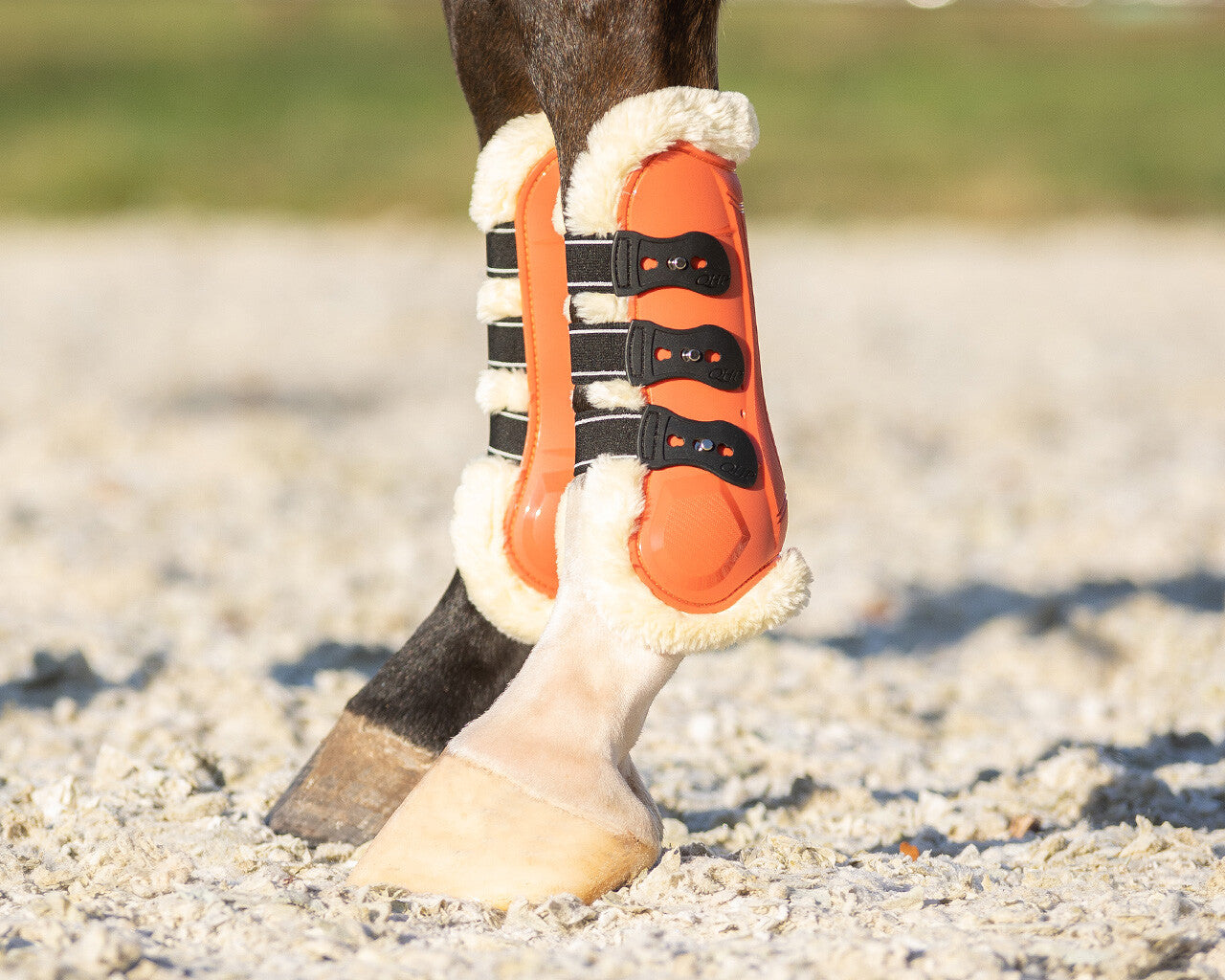 Menton Tendon Boots