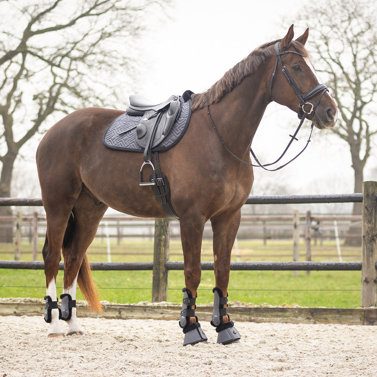 Tendon boots Sensisoft