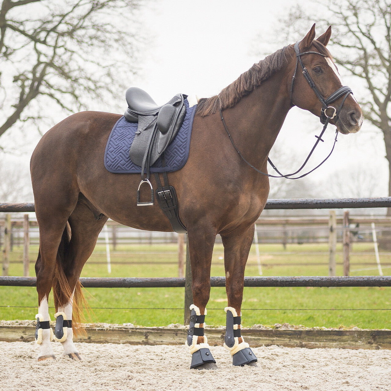 Tendon boots Sensisoft