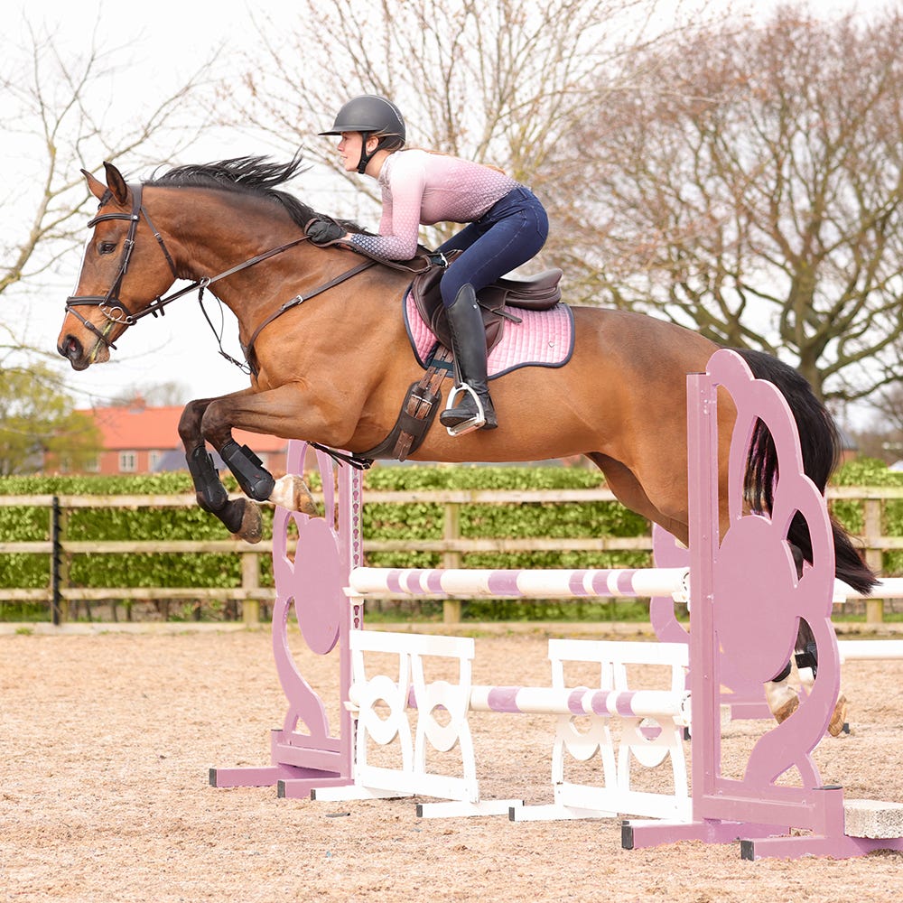 Hy Equestrian Elevate Saddle Pad