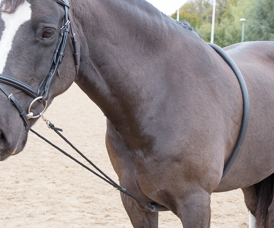 Soft Lunge Aid - Nags Essentials