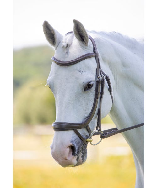 Velociti Ergonomic Curved Flash Bridle - Nags Essentials
