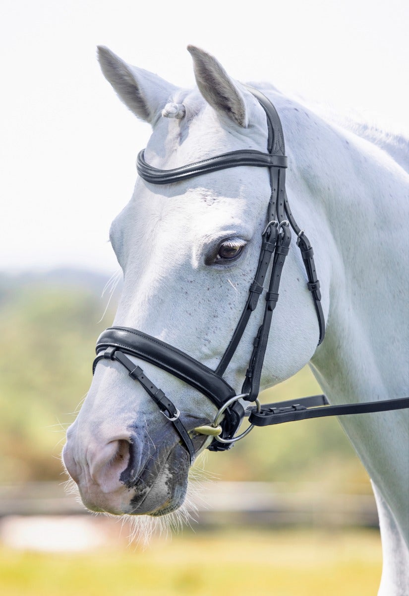 Velociti Dressage Flash Bridle - Nags Essentials