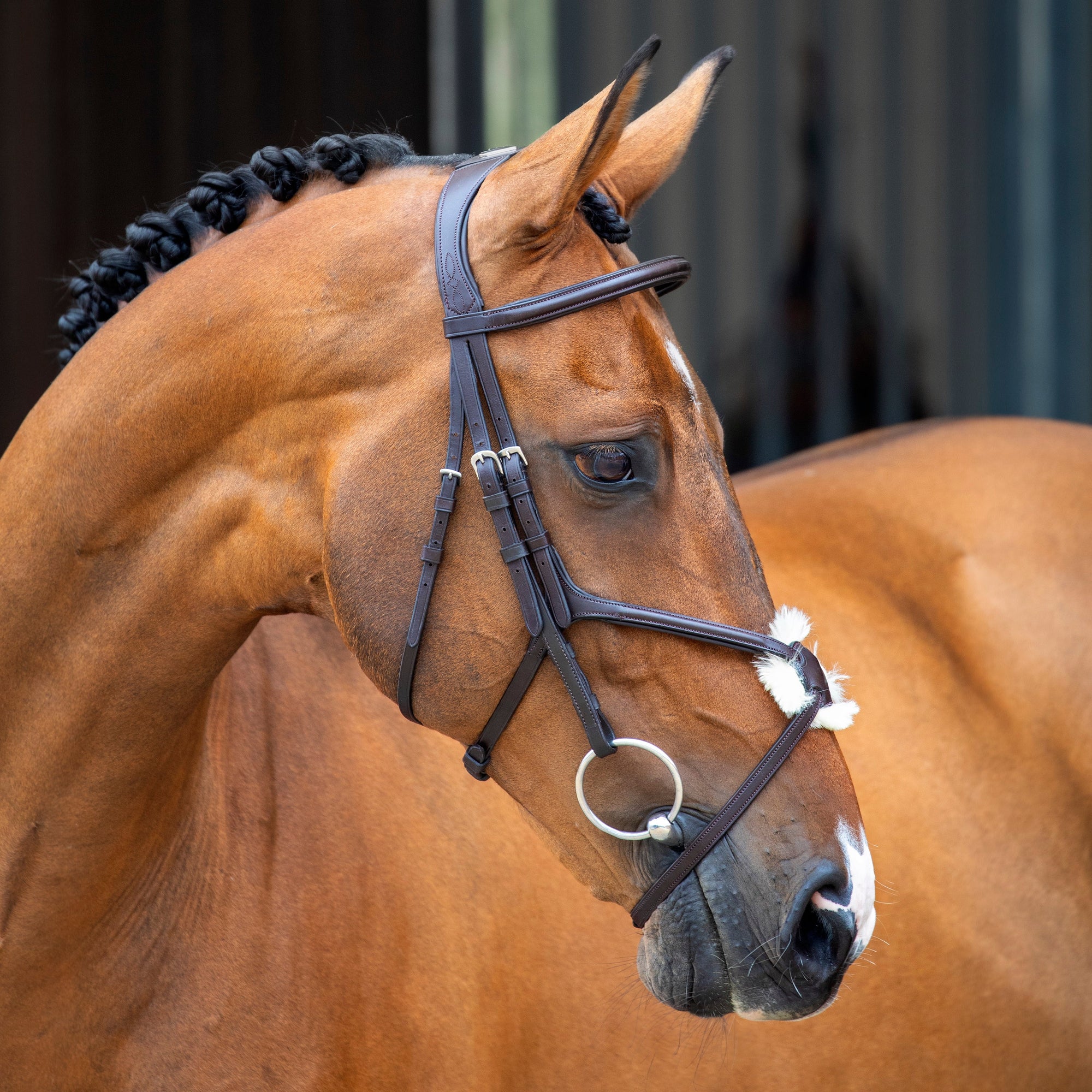 Velociti Lusso Grackle Bridle