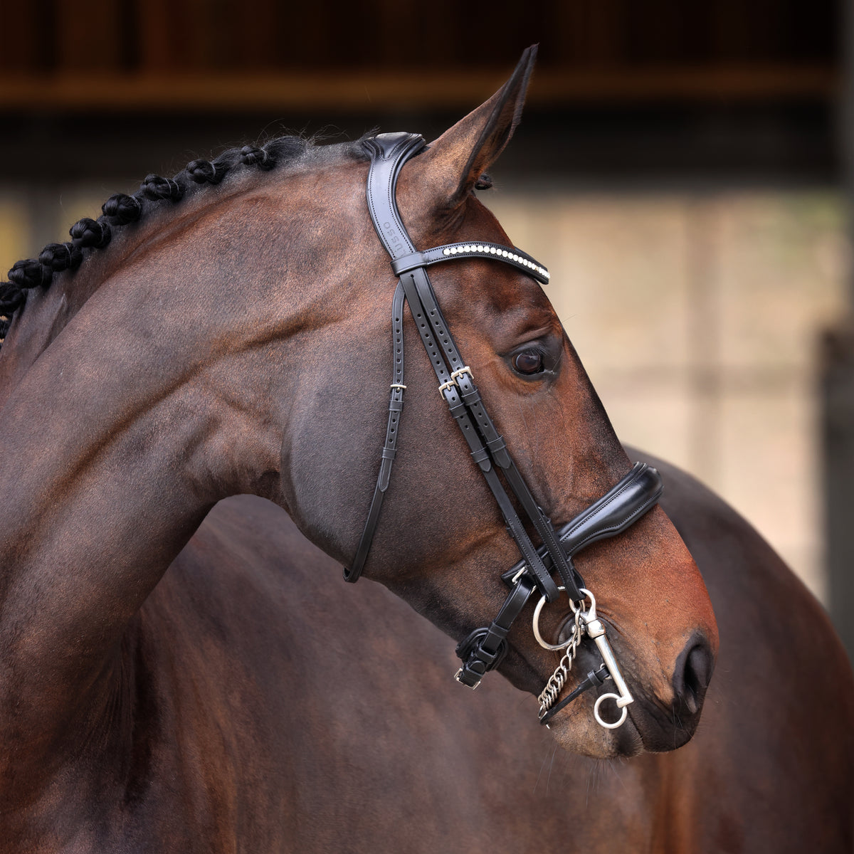 Velociti Lusso Elite Double Bridle - Black
