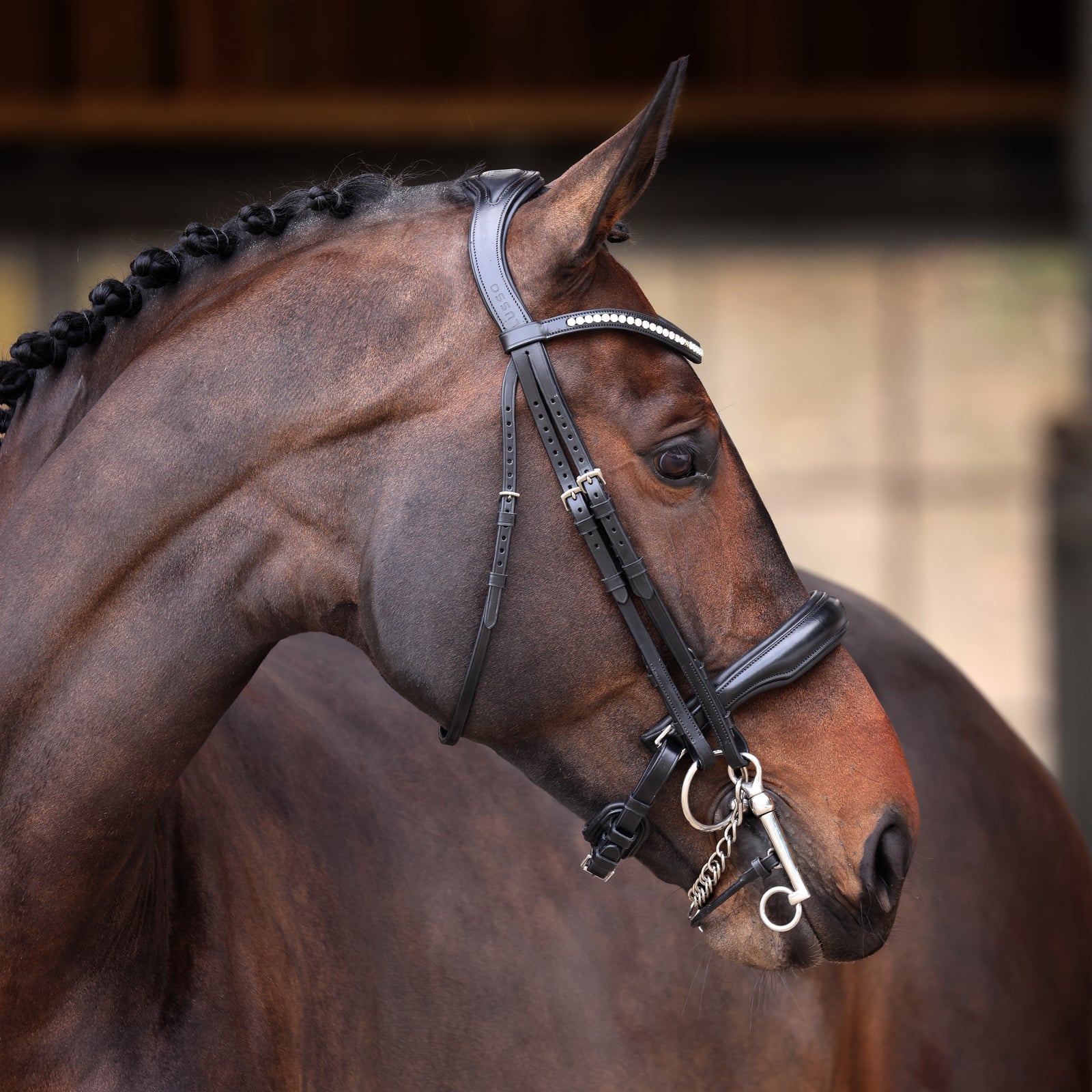 Velociti Lusso Elite Double Bridle - Black