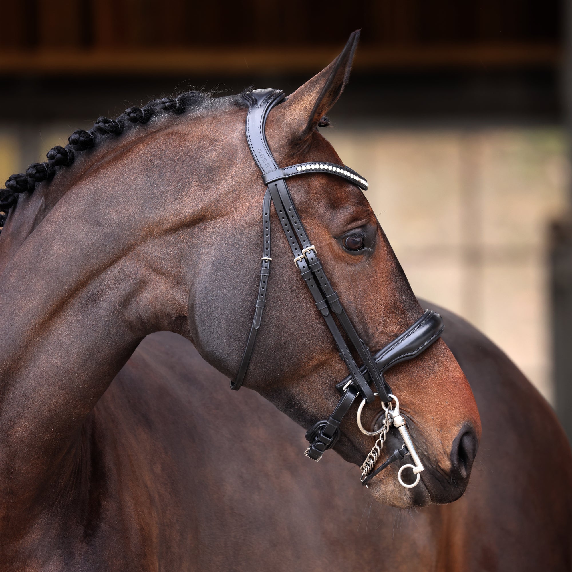 Velociti Lusso Elite Double Bridle - Black