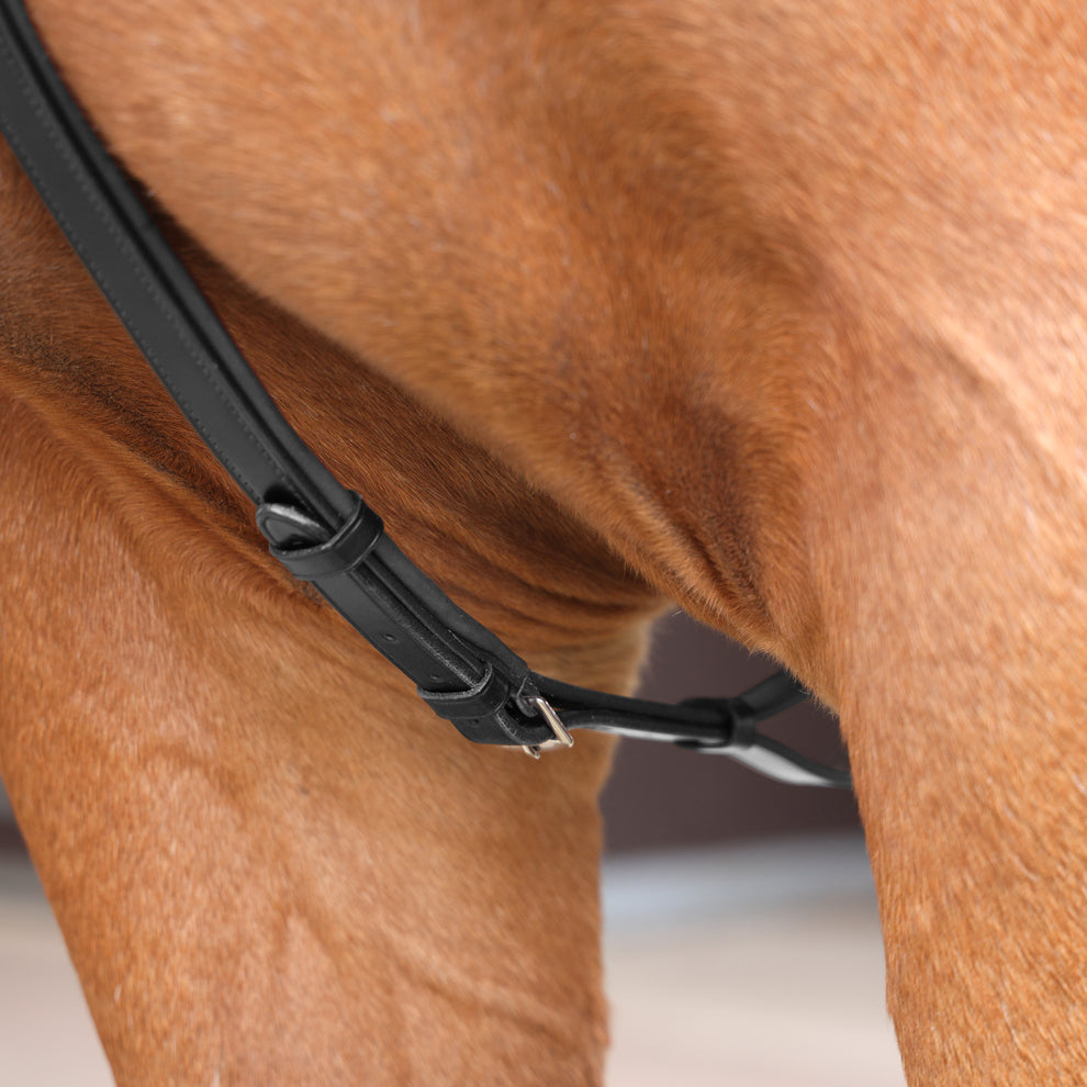 Velociti Lusso 3 Point Elastic Breastplate