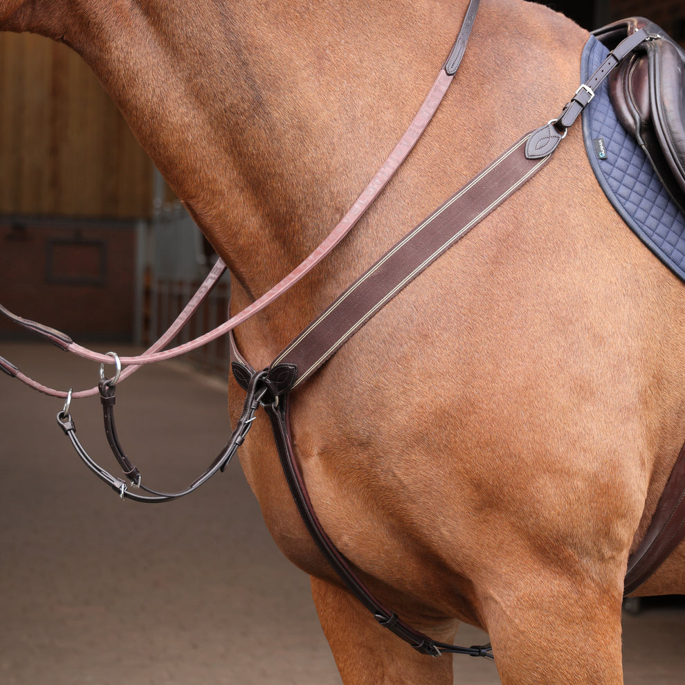 Velociti Lusso 3 Point Elastic Breastplate