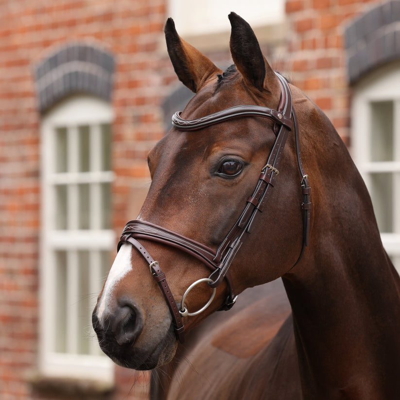 Velociti LUSSO Opus 180M Padded Flash  Bridle