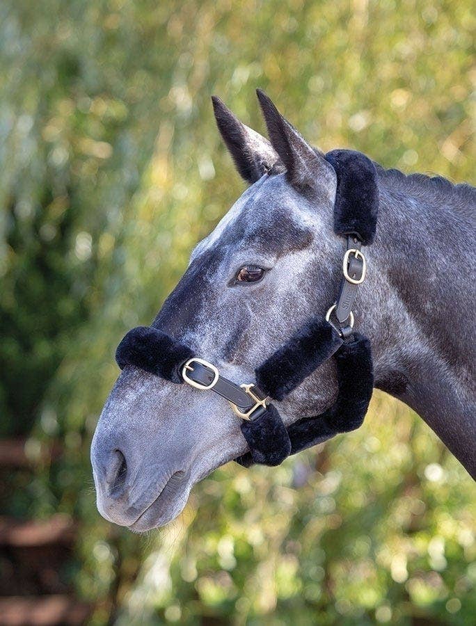 ARMA SupaFleece Halter Fleeces