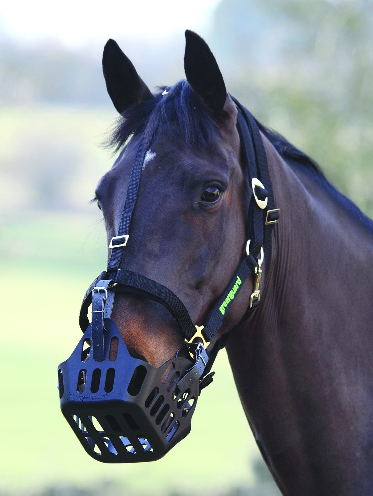 Greenguard Headcollar Grazing Muzzle - Nags Essentials