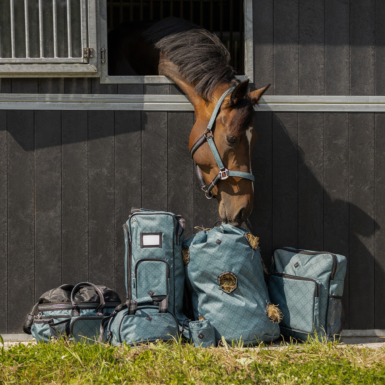 Stable Bag