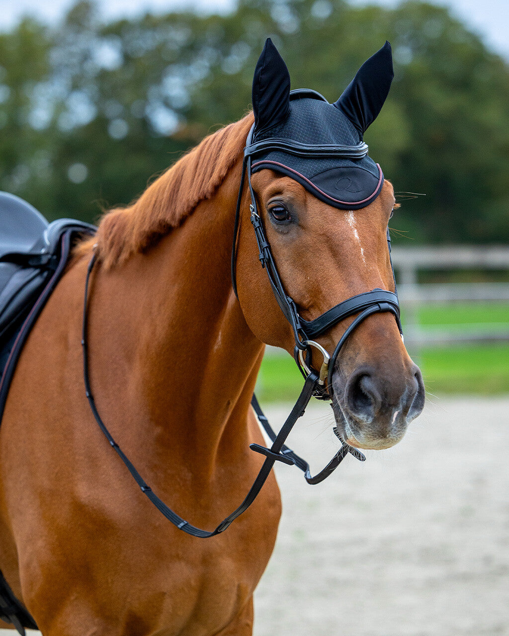 Ear Veil - Avenna