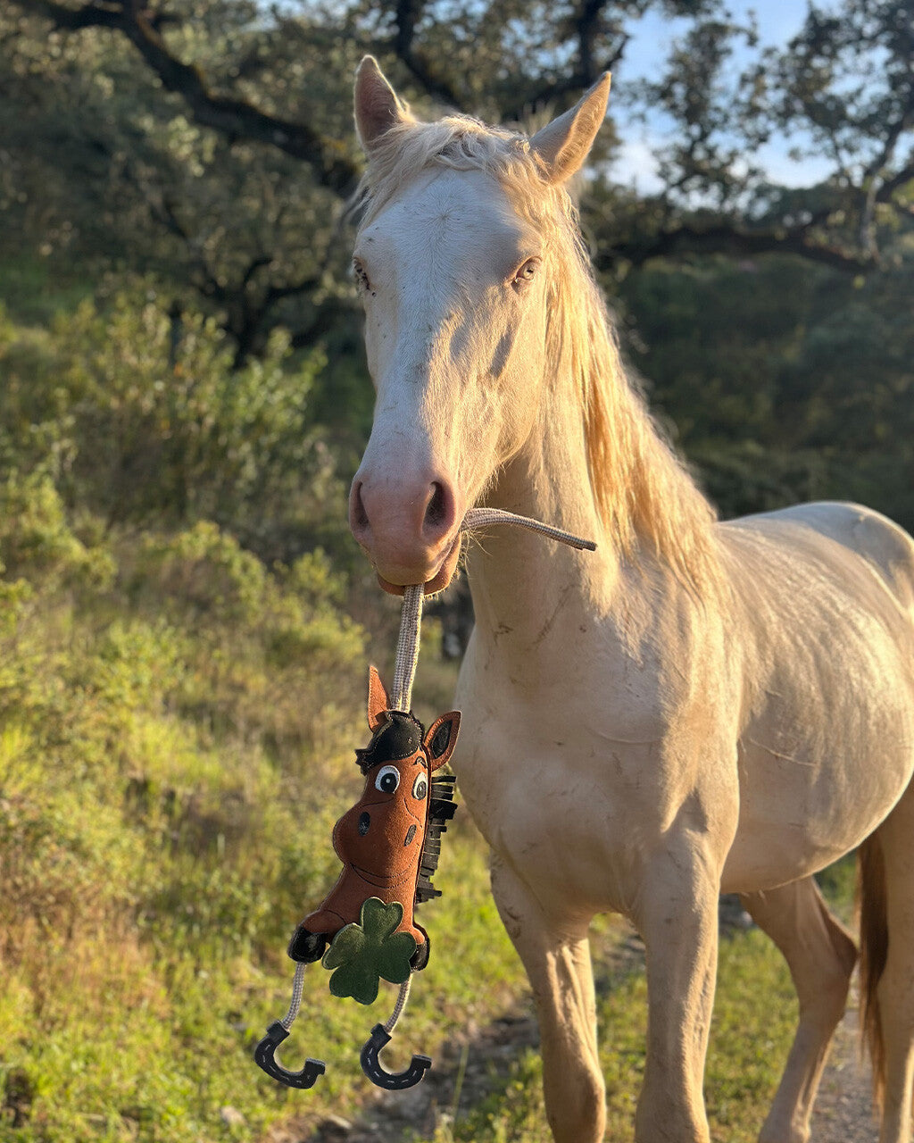 Good Luck Horse Toy