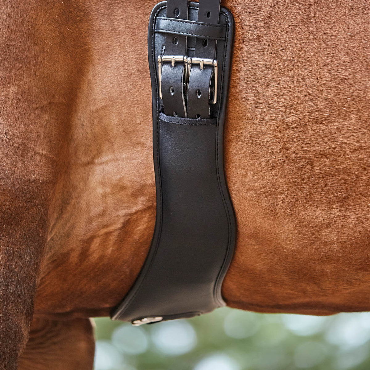 Collegiate Anatomic Dressage Girth - Black