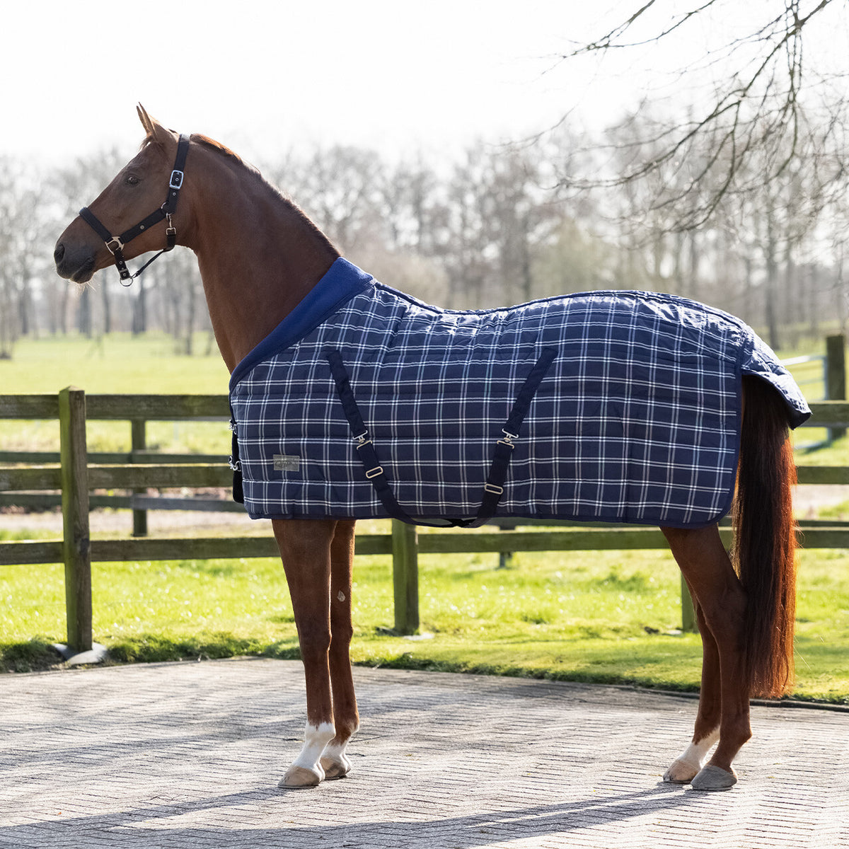 Stable Rug Luxury 300g