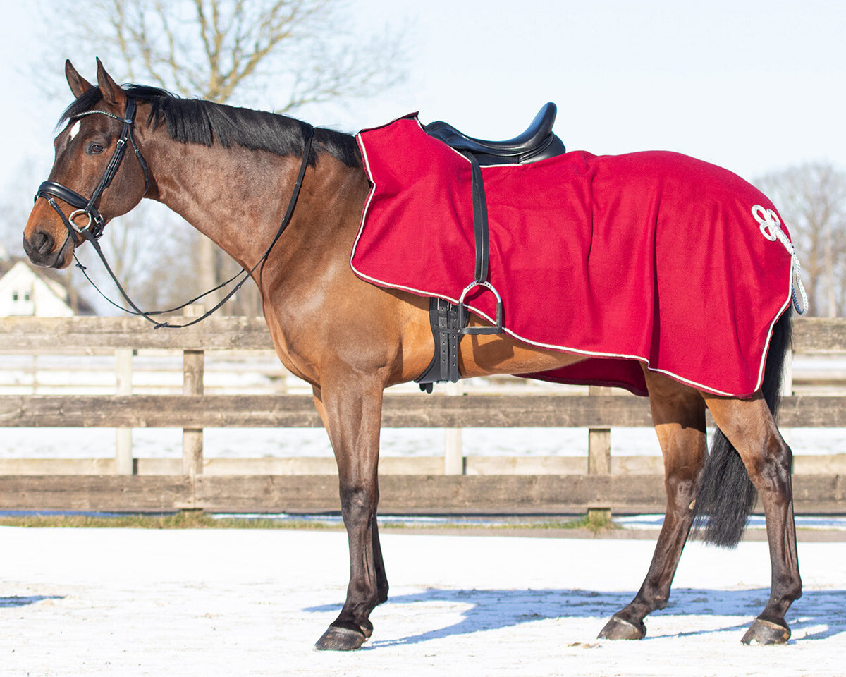 Exercise Fleece Rug